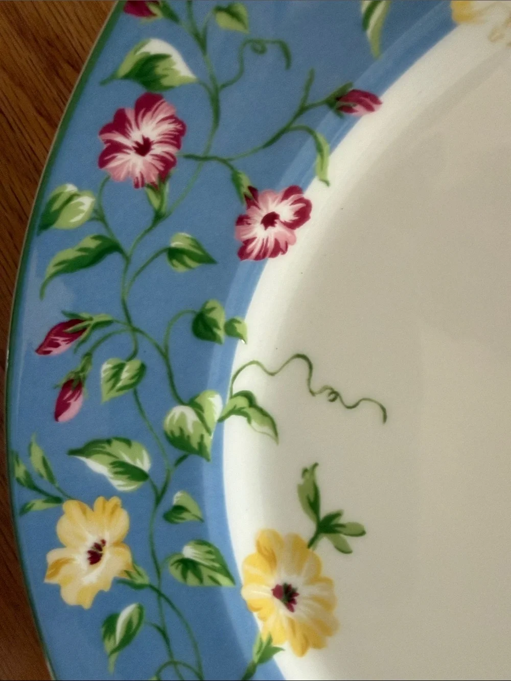 Set of 2 Waverly Masterpiece “Garden Room” dinner plates NWOT